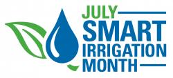 2013 Smart Irrig Logo